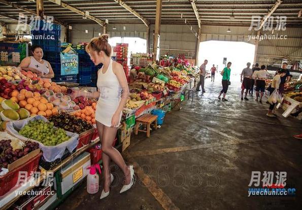 直穿少女的操场时光：爱丝专属写真资源大公开，随便聊聊就能迷失。