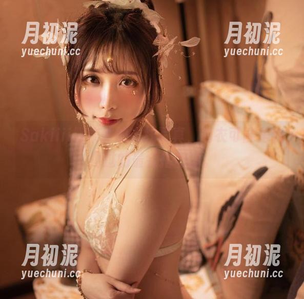Sakiiii翎柒 Sakiiii翎柒做的在线写真,内衣可能是我见过的最会搭的了。