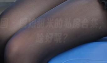 森萝财团 - 厨娘甜米的私房合集，今天穿啥好呢？